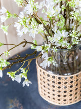 Thumbnail for picture #4