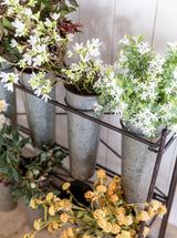 Thumbnail for picture #6