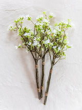 Thumbnail for picture #7