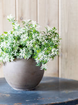 Thumbnail for picture #7