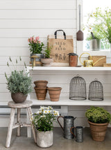 Thumbnail for picture #8