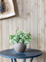 Thumbnail for picture #6