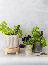 Thumbnail for picture #7