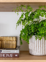 Thumbnail for picture #5