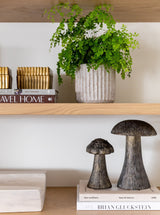 Thumbnail for picture #3