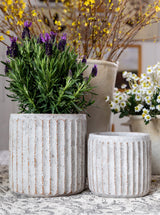 Thumbnail for picture #2