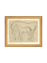 Thumbnail for picture #15