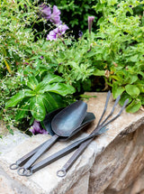 Thumbnail for picture #2