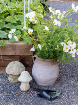 Thumbnail for picture #5