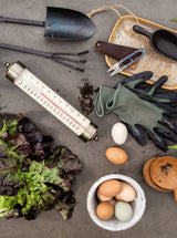 Thumbnail for picture #6