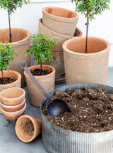 Thumbnail for picture #3