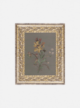 Thumbnail for picture #1