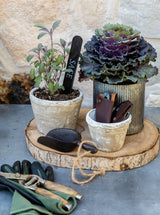 Thumbnail for picture #7