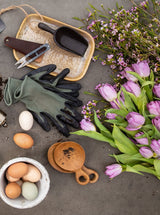 Thumbnail for picture #5