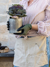 Thumbnail for picture #2