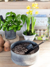 Thumbnail for picture #2