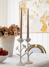 Thumbnail for picture #10