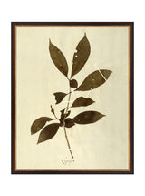 Thumbnail for picture #15