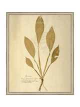Thumbnail for picture #22