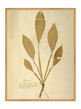 Thumbnail for picture #19