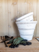 Thumbnail for picture #6