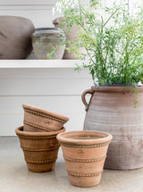 Thumbnail for picture #5