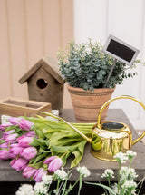 Thumbnail for picture #11