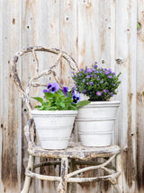 Thumbnail for picture #2