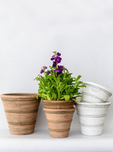 Thumbnail for picture #1