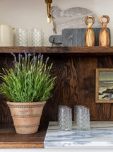 Thumbnail for picture #8