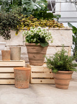 Thumbnail for picture #9