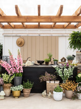 Thumbnail for picture #3