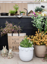 Thumbnail for picture #2