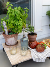 Thumbnail for picture #4