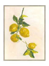 Thumbnail for picture #24