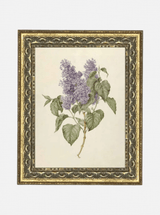 Thumbnail for picture #1