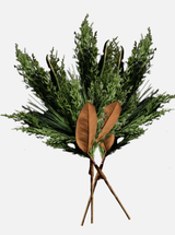 Thumbnail for picture #3