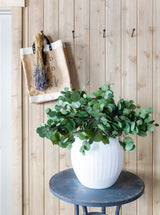 Thumbnail for picture #2