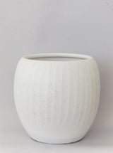 Thumbnail for picture #1