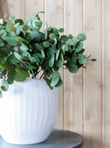 Thumbnail for picture #3