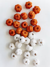 Thumbnail for picture #1