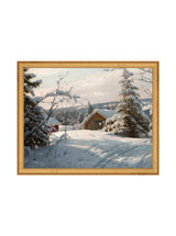 Thumbnail for picture #12