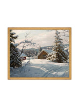 Thumbnail for picture #13