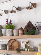 Thumbnail for picture #5