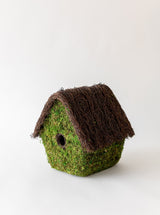 Thumbnail for picture #12