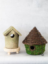 Thumbnail for picture #8