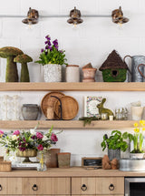 Thumbnail for picture #6