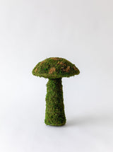 Thumbnail for picture #10