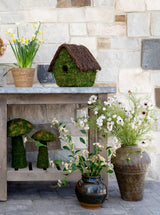 Thumbnail for picture #4