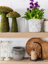 Thumbnail for picture #5